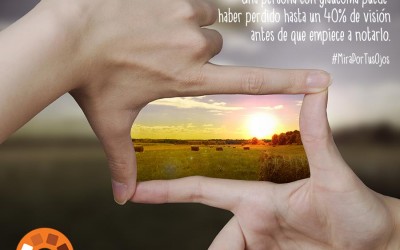 El ladrón silencioso de la vista