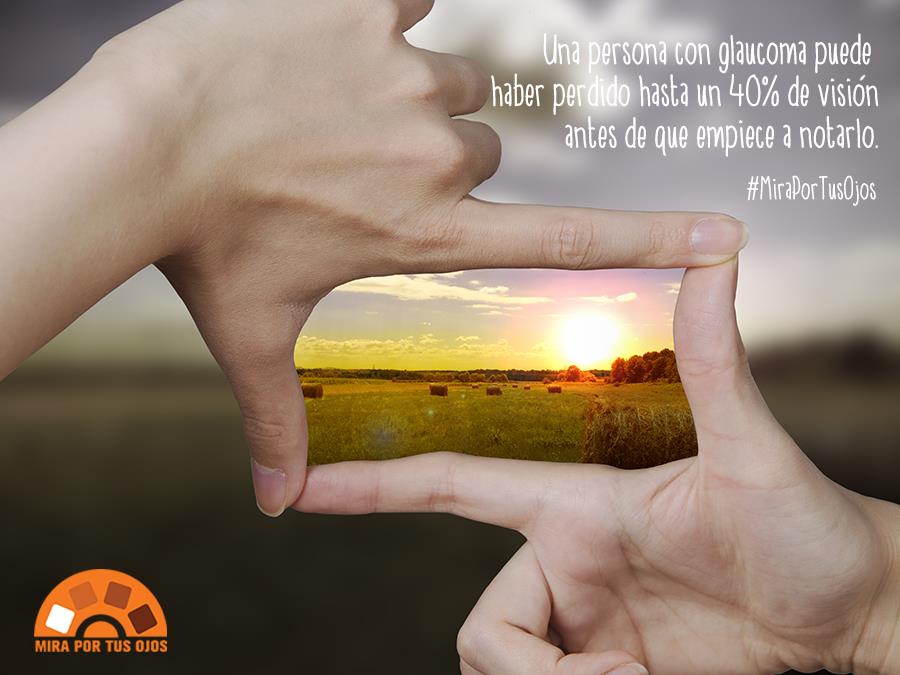 El ladrón silencioso de la vista